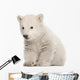 Polar Bear Cub Sitting Wall Decal