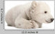 Polar Bear Cub Lying with Paws Curled Wall Decal