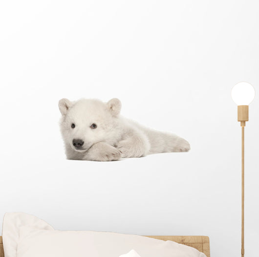 Polar Bear Cub Lying on Side Wall Decal