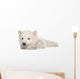 Polar Bear Cub Lying on Side Wall Decal