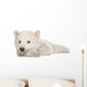 Polar Bear Cub Lying on Side Wall Decal