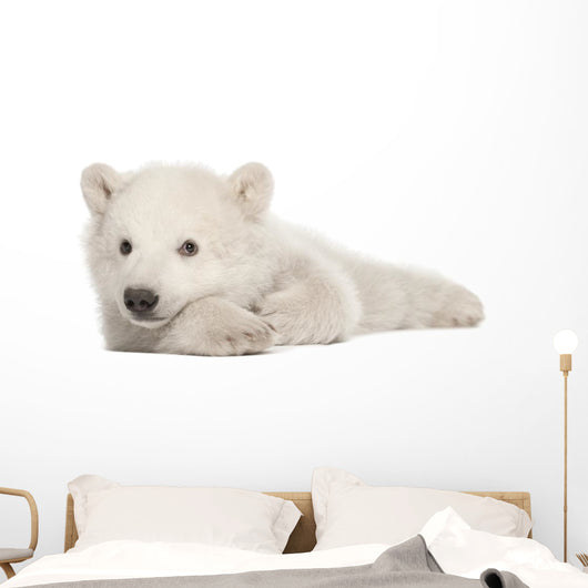 Polar Bear Cub Lying on Side Wall Decal