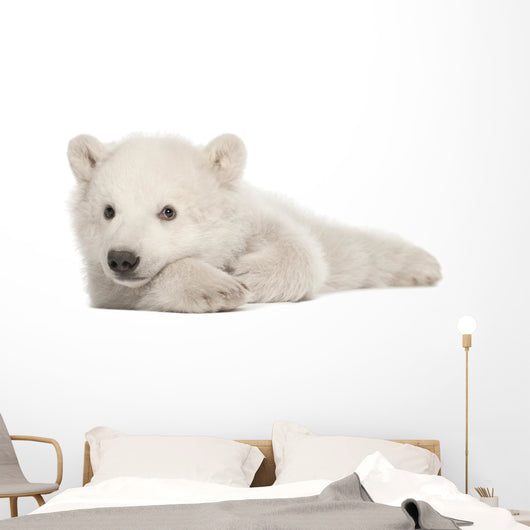 Polar Bear Cub Lying on Side Wall Decal