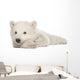 Polar Bear Cub Lying on Side Wall Decal