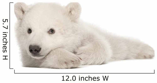 Polar Bear Cub Lying on Side Wall Decal