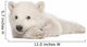 Polar Bear Cub Lying on Side Wall Decal