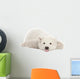 Polar Bear Cub with Tongue Out Wall Decal