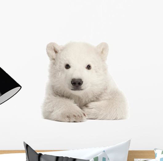 Polar Bear Cub Laying Down Wall Decal
