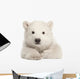 Polar Bear Cub Laying Down Wall Decal