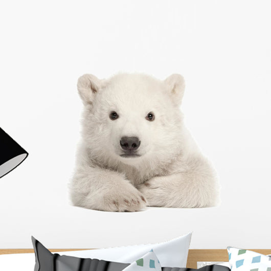 Polar Bear Cub Laying Down Wall Decal