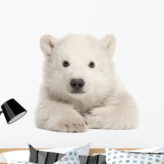 Polar Bear Cub Laying Down Wall Decal