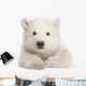 Polar Bear Cub Laying Down Wall Decal