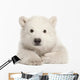 Polar Bear Cub Laying Down Wall Decal