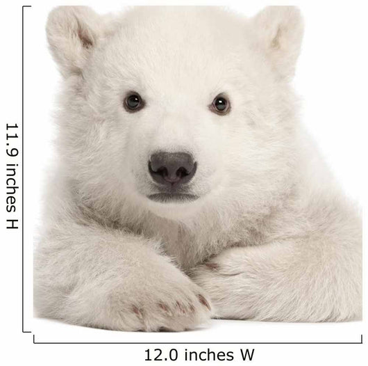 Polar Bear Cub Laying Down Wall Decal
