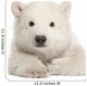 Polar Bear Cub Laying Down Wall Decal