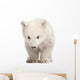 Polar Bear Cub Face Wall Decal