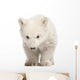 Polar Bear Cub Face Wall Decal