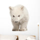 Polar Bear Cub Face Wall Decal