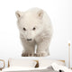 Polar Bear Cub Face Wall Decal