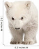 Polar Bear Cub Face Wall Decal