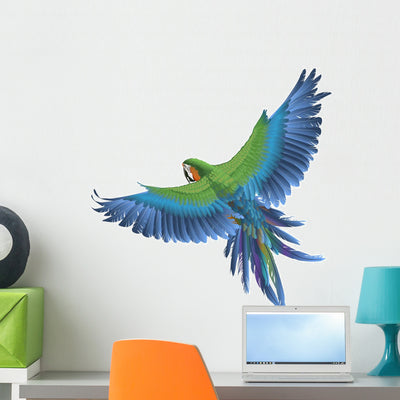 Parrot Illustration Wall Decal shown on a wall