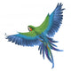 Parrot Illustration Wall Decal