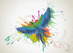 Parrot and Paint Splatter Illustration Wall Decal