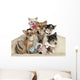 Chihuahua Puppies and Adults Wall Decal