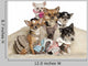 Chihuahua Puppies and Adults Wall Decal