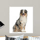 Australian Shepherd 2 Years Wall Decal
