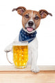 Drunk Dog with Beer Wall Decal