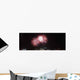 Fireworks Started Wall Decal