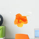 Orange Flower Wall Decal
