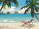 Tropical Beach Resort Illustration Wall Decal