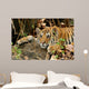 Tiger Cub Wall Decal