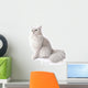 Chat Persan Chinchilla Wall Decal