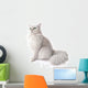 Chat Persan Chinchilla Wall Decal