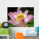 Lotus Blossom Wall Decal