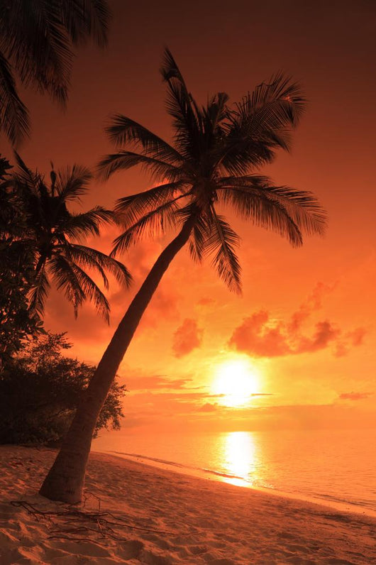 Beach Scene with Sunset Wall Decal
