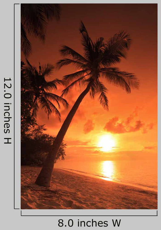 Beach Scene with Sunset Wall Decal