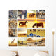Safari Animal Collage 2 Wall Decal
