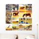Safari Animal Collage 2 Wall Decal
