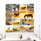 Safari Animal Collage 2 Wall Decal