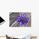 Clematis Multi Blue Wall Decal