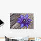 Clematis Multi Blue Wall Decal