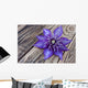 Clematis Multi Blue Wall Decal