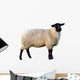 Schwarzkopf Sheep Wall Decal