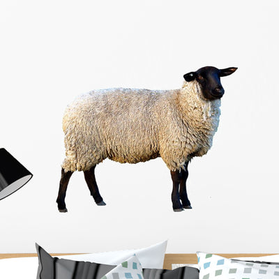Schwarzkopf Sheep Wall Decal shown on a wall