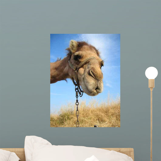 Camel Wall Decal