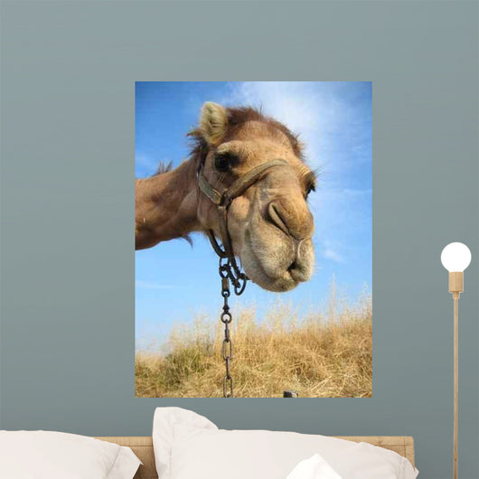 Camel Wall Decal